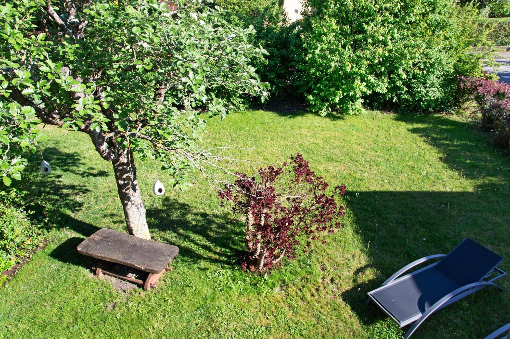 Ferienwohnung Apfelbluete Burgbernheim エクステリア 写真